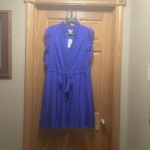 On 34th Flutter Sleeve Dress